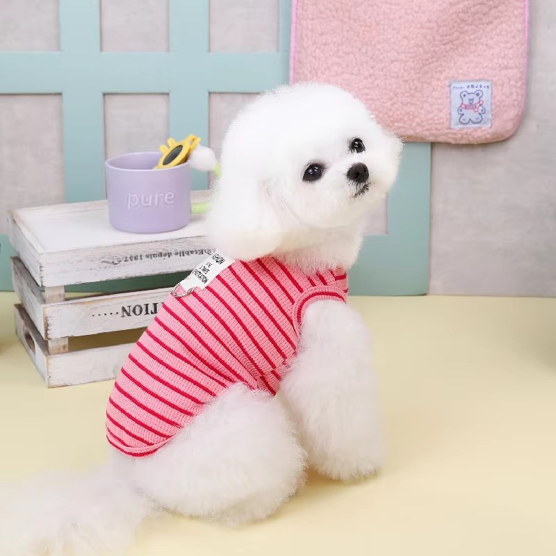 Puppy Summer Clothes Dog Fancy Dress for Small Breeds Dogs Pet Short Skirt Pomeranian One Piece Ropa Perro Costume Roupa Vestido: XL / Gold