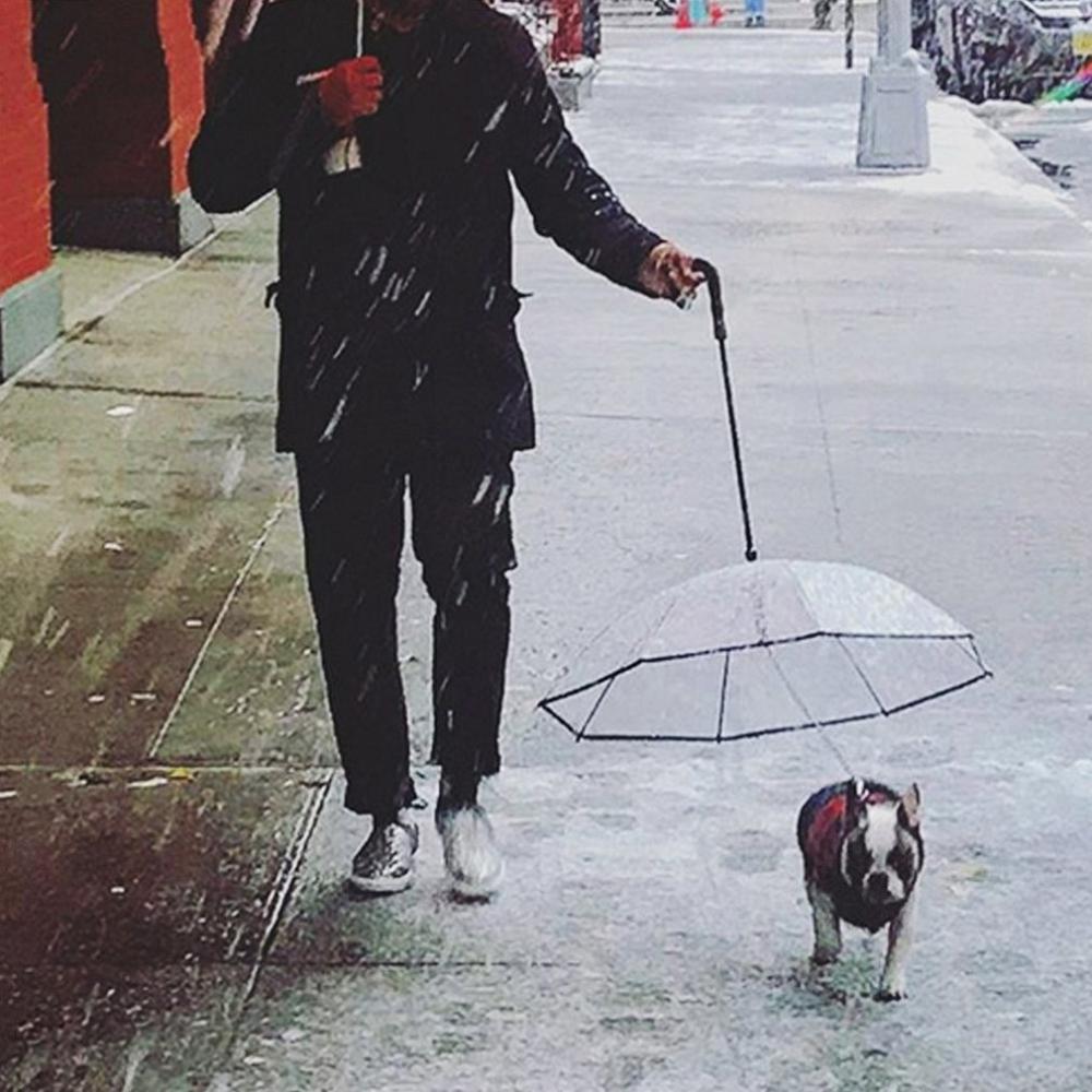 Hond Paraplu Nuttig Transparante Pe Kleine Hond Kat Paraplu Regenkleding Met Hondenriemen Houdt Huisdier Droog Comfortabele