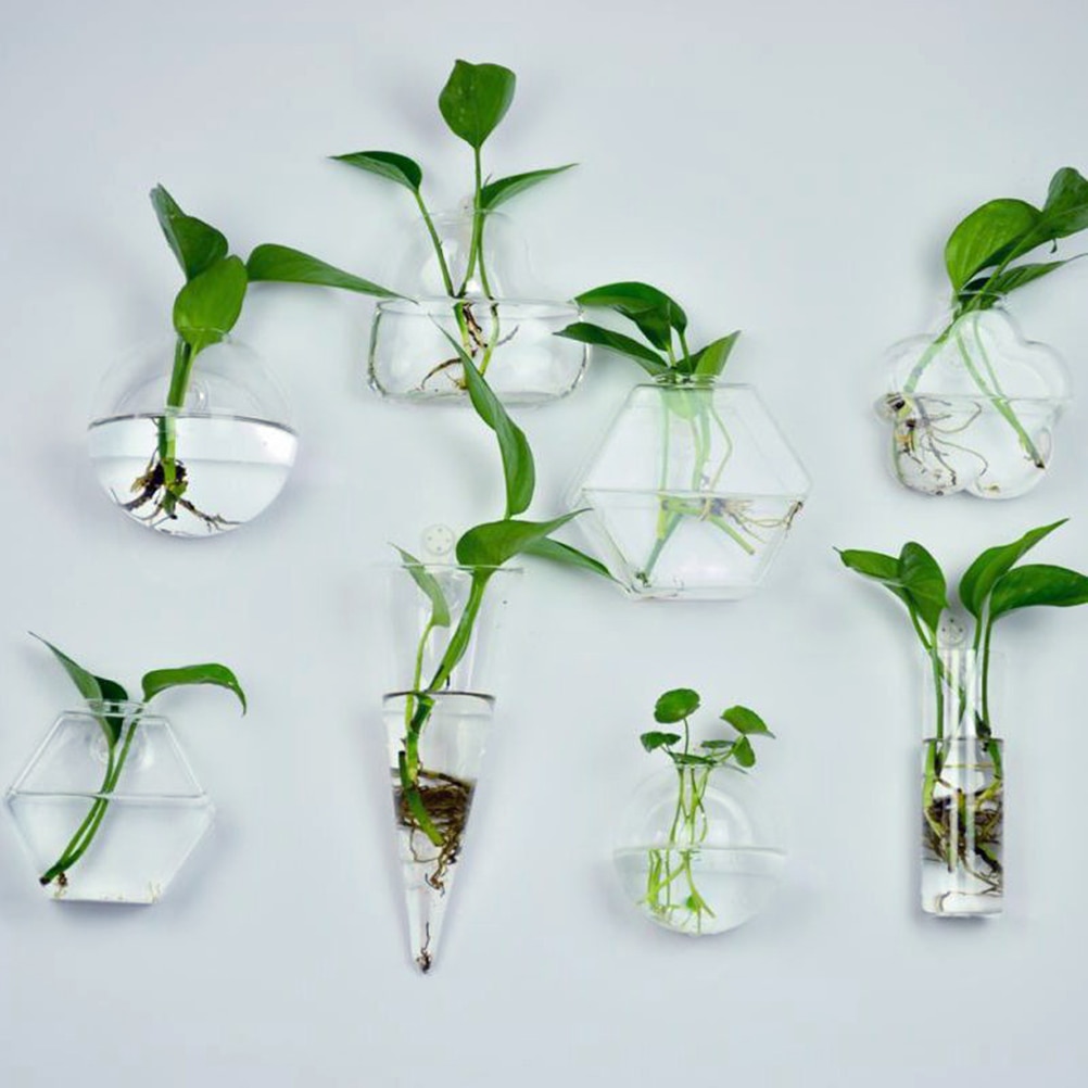 6 former diy klar hängande glasvas blomväxter terrariumbehållare vas mikro landskap bröllopsdekoration