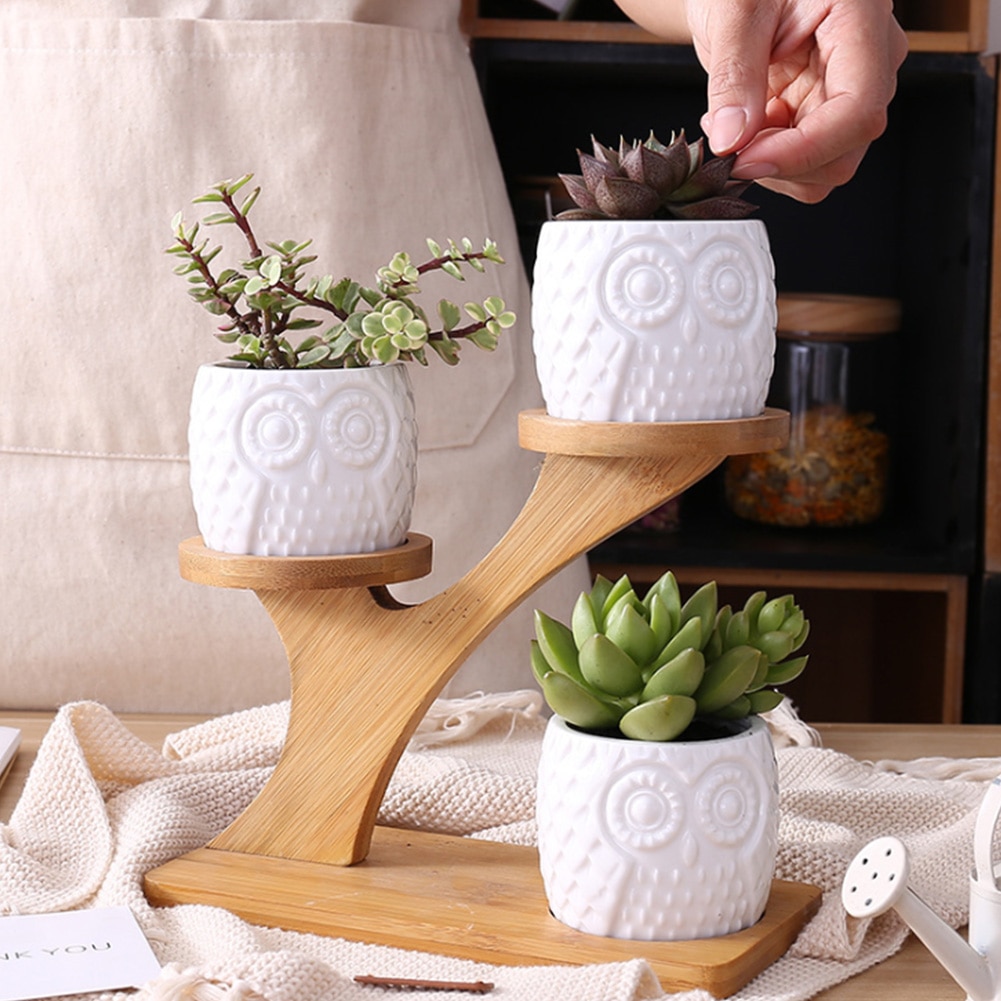 3pcs 3 Tier Office Owl Shape Wear Resistant Tidy With Bamboo Holder Indoor Desk Saucers Stand Pot Set Modern Ceramic Garden Home