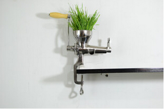304 Stainless Steel Fruit Grass Wheat Juicer, Fruit Extractor, Wheatgrass Squezeer