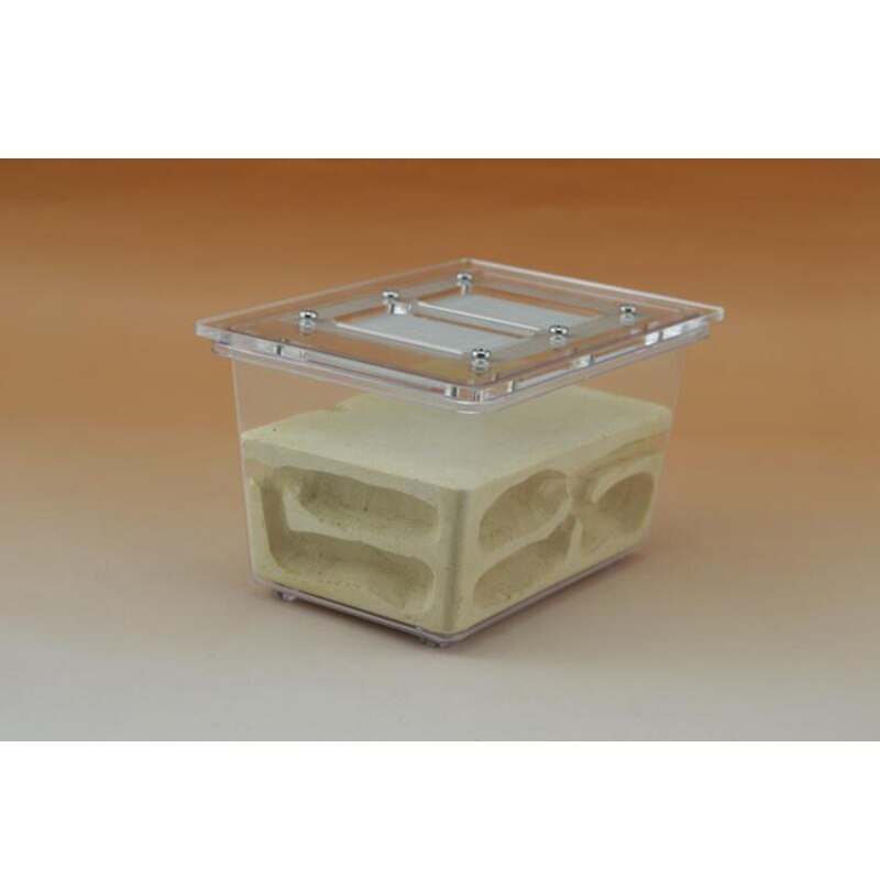 Ecological Pet Ant Nest Three-dimensional Ant Villa Small Four-sided Ant Farm Breeding Nest
