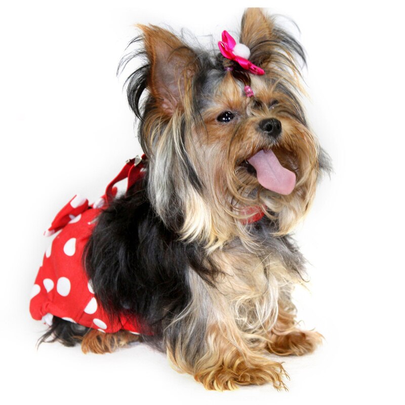 Huisdier Fysiologische Broek Vrouwelijke Hond Sanitaire Slipje Shorts Ondergoed Sanitaire Luier Wasbare Corgi Franse Bulldog Terrier Pugs