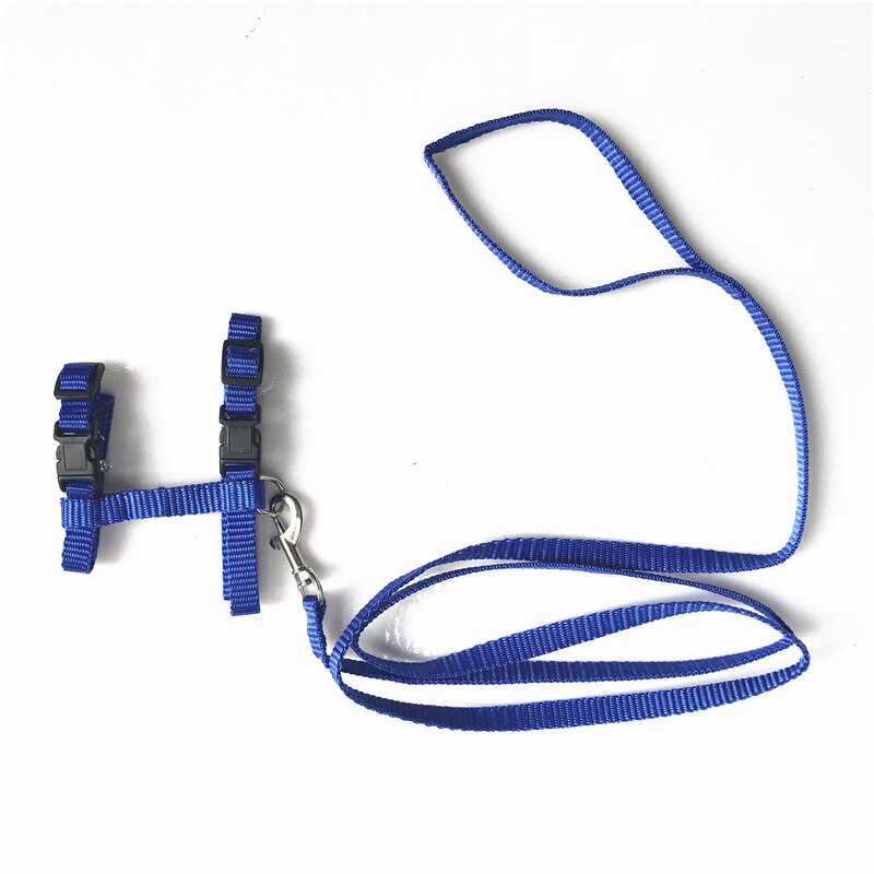 Huisdier kattenhalsband, harnas en riem, verstelbaar van nylon, huisdier tractie, honden- en kittenhalster, halsband voor katten, producten voor katten, huisdier harnas riem