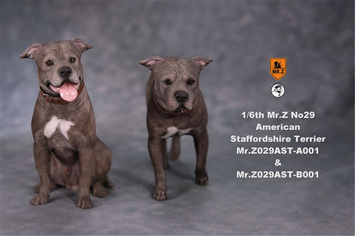 Mr.Z Studio 1:6 Amerikaanse Staffordshire Terrier Hond Pet Healing Figuur Canidae Diermodel Speelgoed Collector Desktop Decor Volwassen