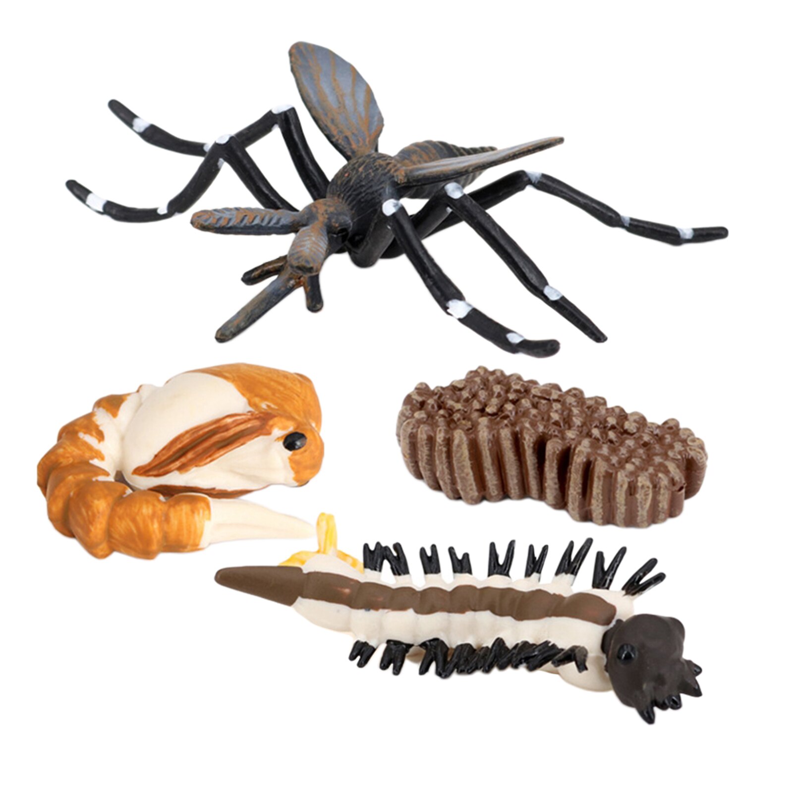 Insect Mosquito Lore Life Cycle - 4 Pcs Insect Figure Shows Life of Lady Bug