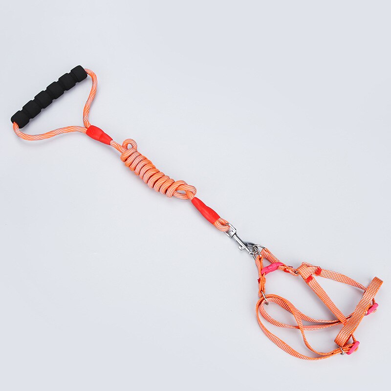 Dog Traction Rope Nylon Color Chest Strap Suit Dog... – Grandado