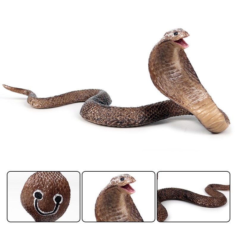 Simulation krybdyr model cobra slange amfibiebriller kingsnake model ryddelige legetøjsmøbler