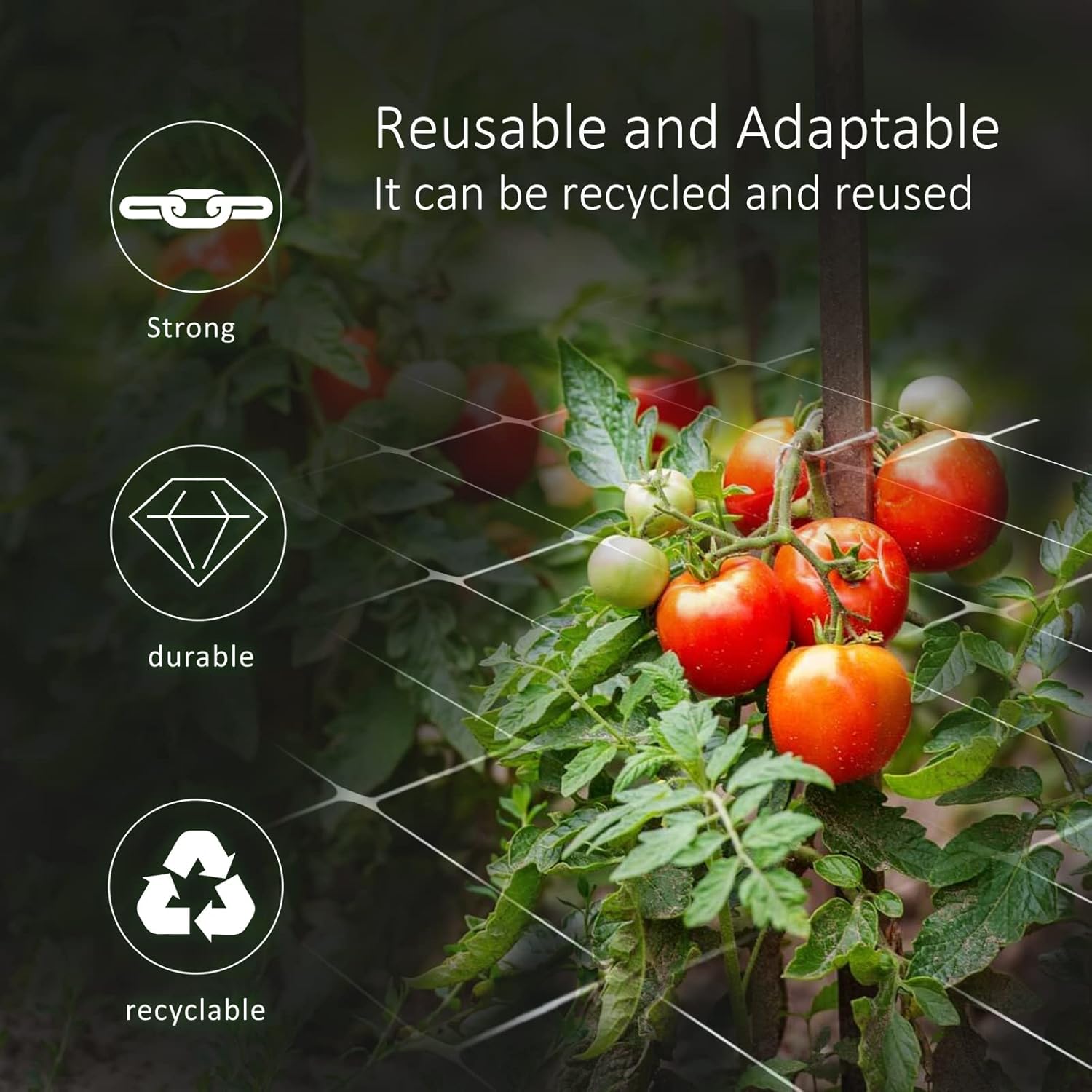 Plastic Trellis Netting 4x100ft, 5x100ft Heavy Duty 6'' Mesh Polypropylene(PP) Plant Support Net for Climbing Vegetables Fruit