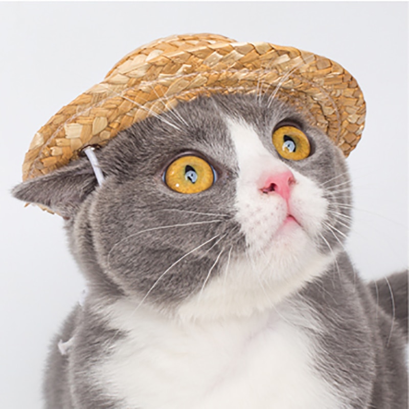 Rolig sommar sällskapsdjur katt keps solskydd hawaiiansk stil halmhatt för liten hund valp foto rekvisita trimtillbehör