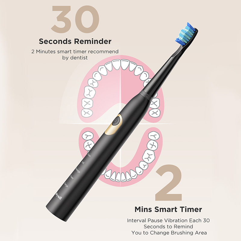 Fairywill Elektrische Zahnbürste Schall- D3 USB Ladung Zahnbürsten Wasserdicht 3 BrushHeads 1 Interdentalbürste Niedrigen Batterie Anzeige