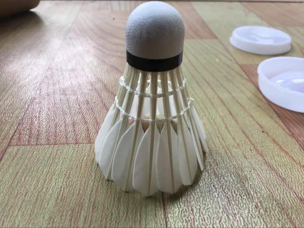 RSL Classic badminton shuttlecock high grade 2 tubes price have much stock