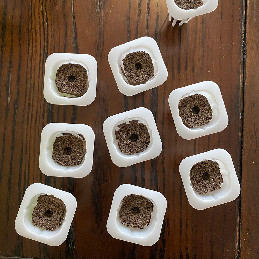 Cesta hidropónica y esponja, sistema hidropónico inteligente para plantas, no tóxico, sin depósito