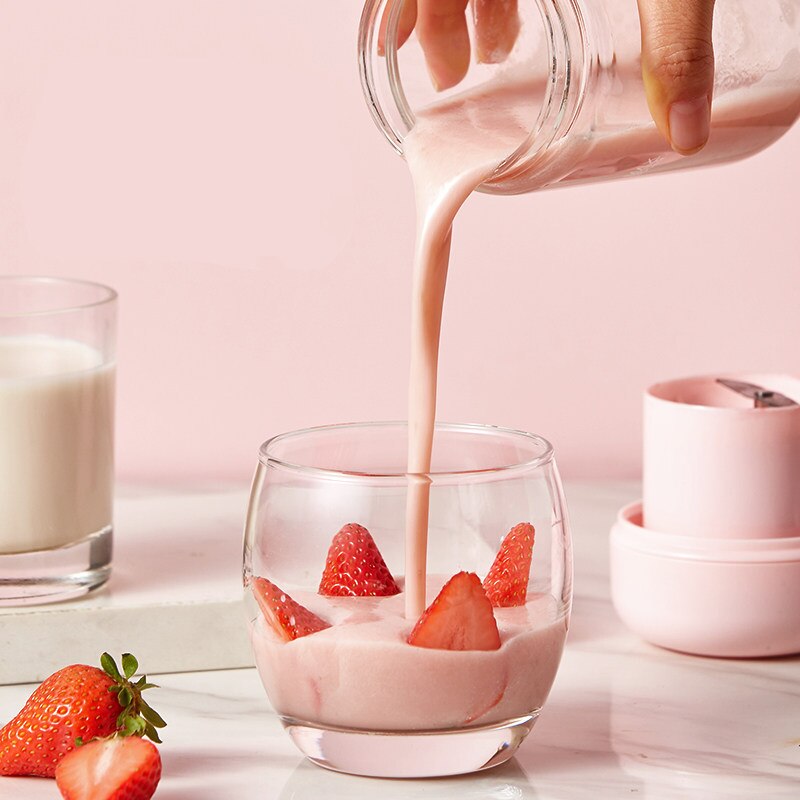 300ML USB Mini Mixer Juicer Portable Fruit Mixer Meat Grinder Juice Machine Multi-Function Small Juicer