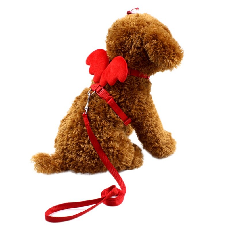 Angel Huisdier Hondenriemen En Halsbanden Set Puppy Leads Voor Kleine Honden Katten Wing Verstelbare Harnas Hond Huisdier accessoires