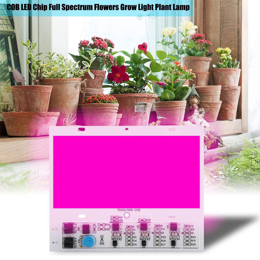 AC220V 150W COB LED Chip Full Spectrum Flowers Grow Light Plant Lamp Plant Grow Ligh