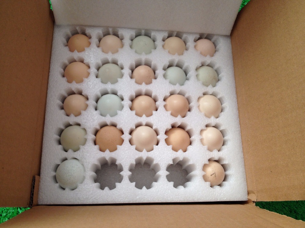 EPE Foam For 20/25/30 Holes Eggs Packaging Materials Packing Pallet Buffer Packing Foam