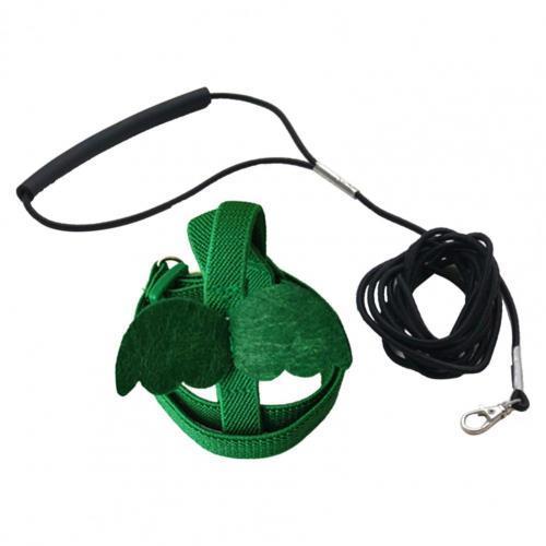 Lange Kabel Vogel Harnas Leash Anti-Bite Training Touw Decoratieve Lichtgewicht Parkiet Papegaai Vest Touw Voor Valkparkiet Kleine Vogels: M / green