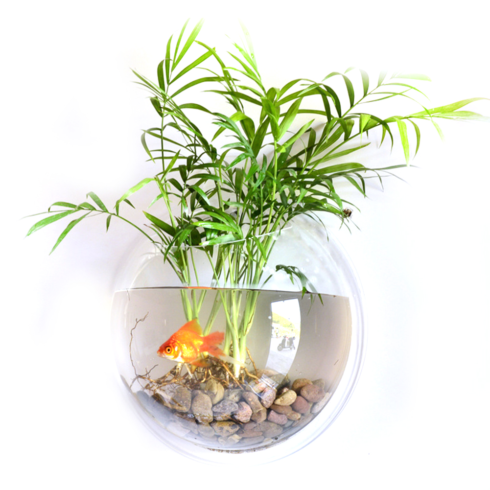 Acrylic Wall Mount Hanging Fish Bowl Aquarium Acrylic Tank Beta Goldfish Hanger Plant Transparent Fish Tank Wall Sticker Decor: Default Title