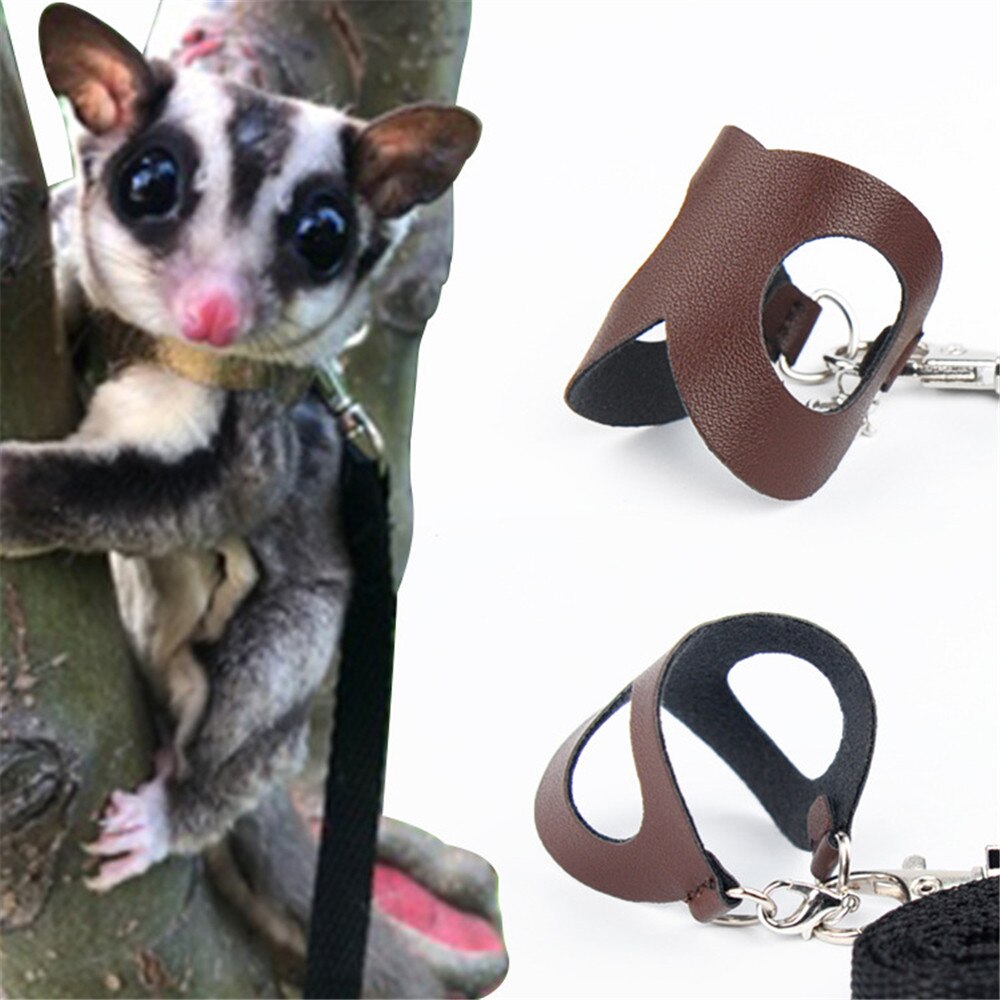 3 unids/set ajustable Chinchilla hámster arnés Correa Anti-morder correa para mascotas cuerda pequeña Entrenamiento de mascotas Correa Collar de guiar