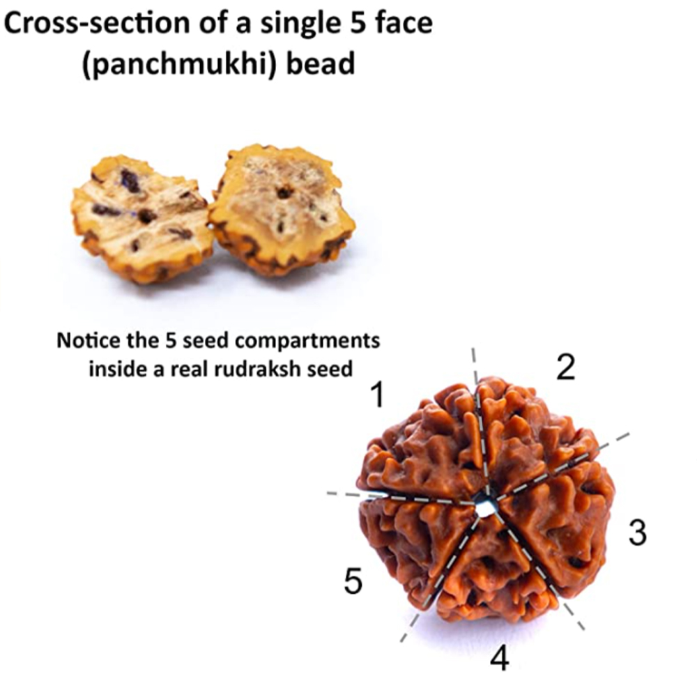 7-8mm original rudraksha frisado atado japamala colar pulseira conjunto meditação yoga bênção jóias 108 mala rosário