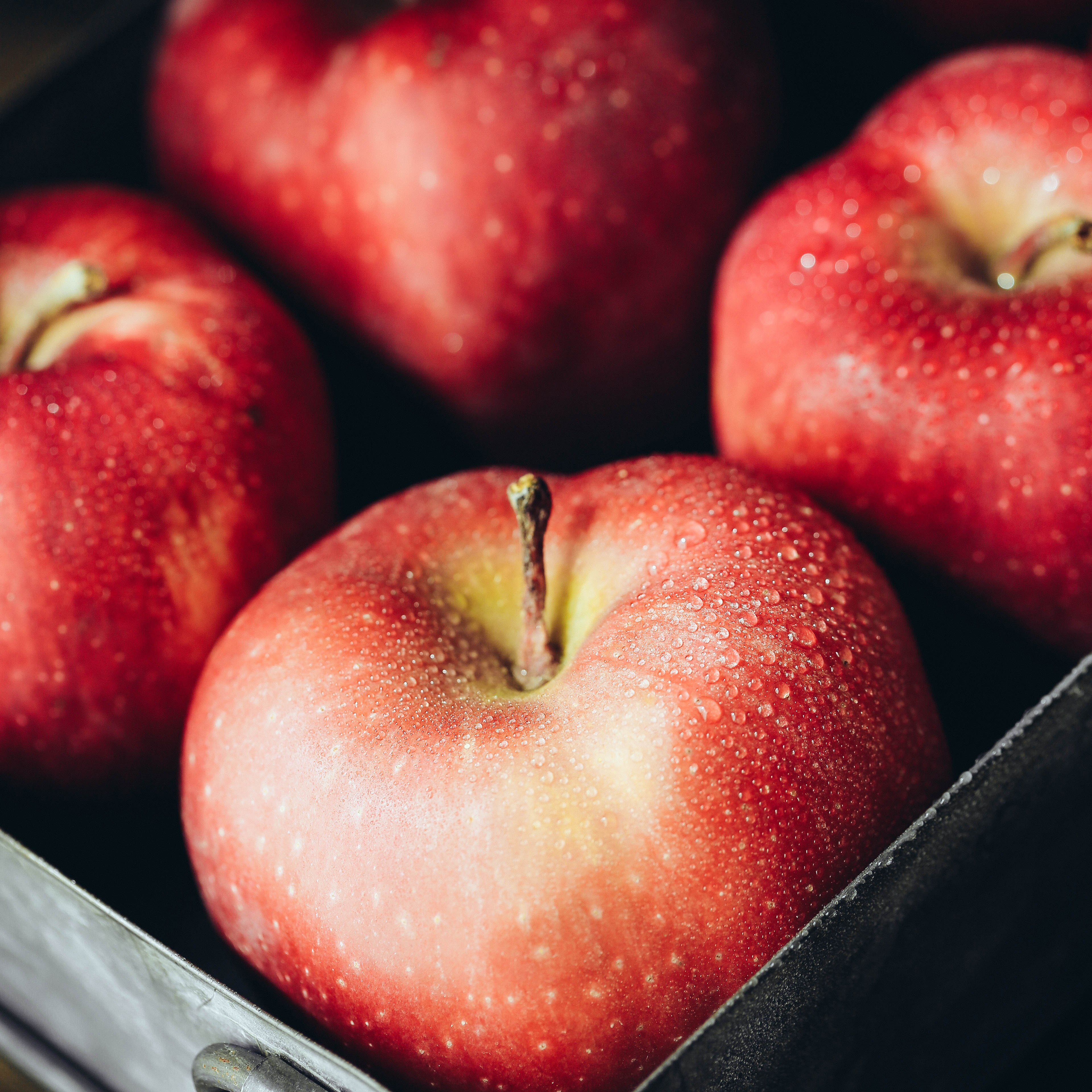 Klare glass sprayflasker, liten sprayflaske plast sprøyte fotografering rekvisitter vanndråper