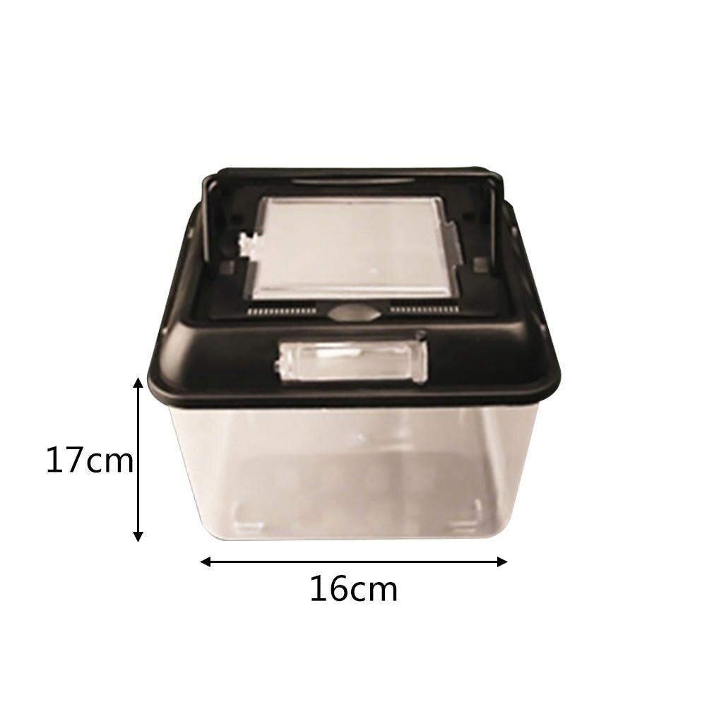 Reptile Terrarium Breeding Incubating Box Spider Frog Box Lizard Snake Turtle Tank Cylinder Cage Fish Tank For Eggs Incubation: S