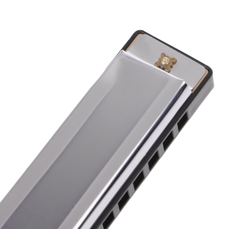 Blues Harmonica 10 Holes Key of C Musical Instrument Stainless Steel with Case 87HF