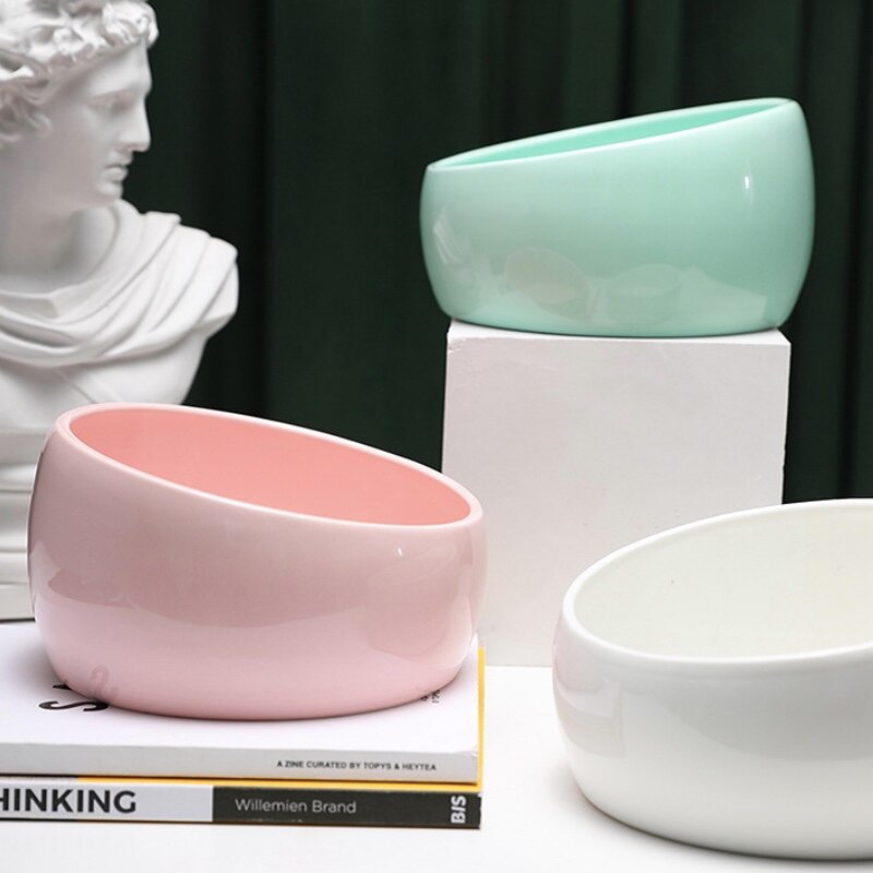 Mooie kom voor kat hond bescherming keramiek nekwervel verhoogde standaard huisdier puppy kitten kommen eten drinken water voederbak