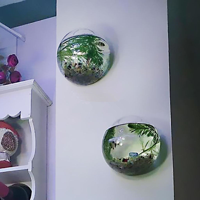 Hem naturliga blomvaser vägghängande grön växt hängande glasvas växtkrukor vägg akvarium akvariebehållare homw dekor