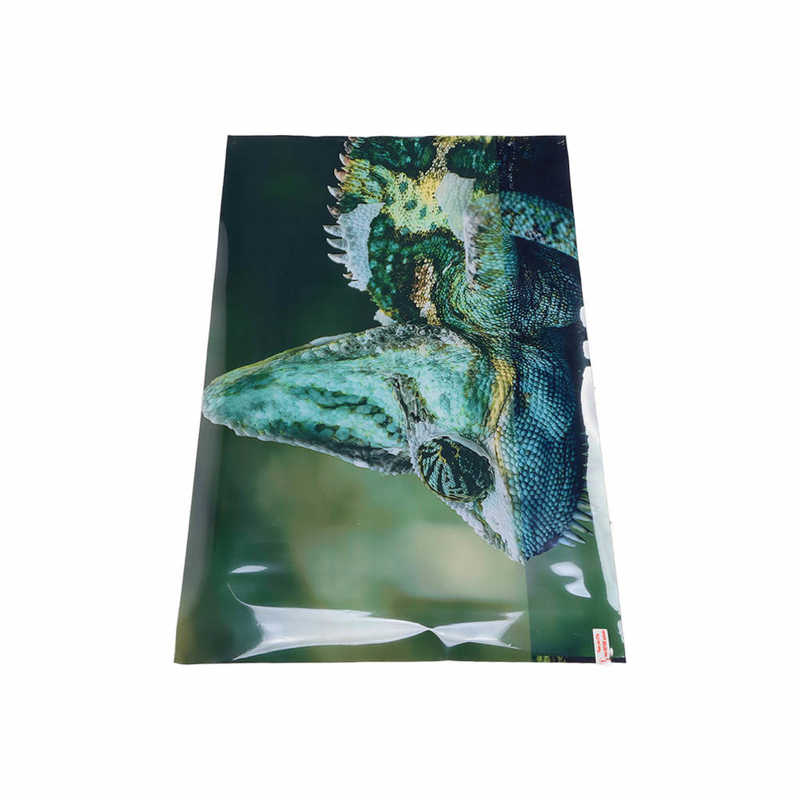 Aquarium Background Aquarium Sticker PVC Material for Fish Tank