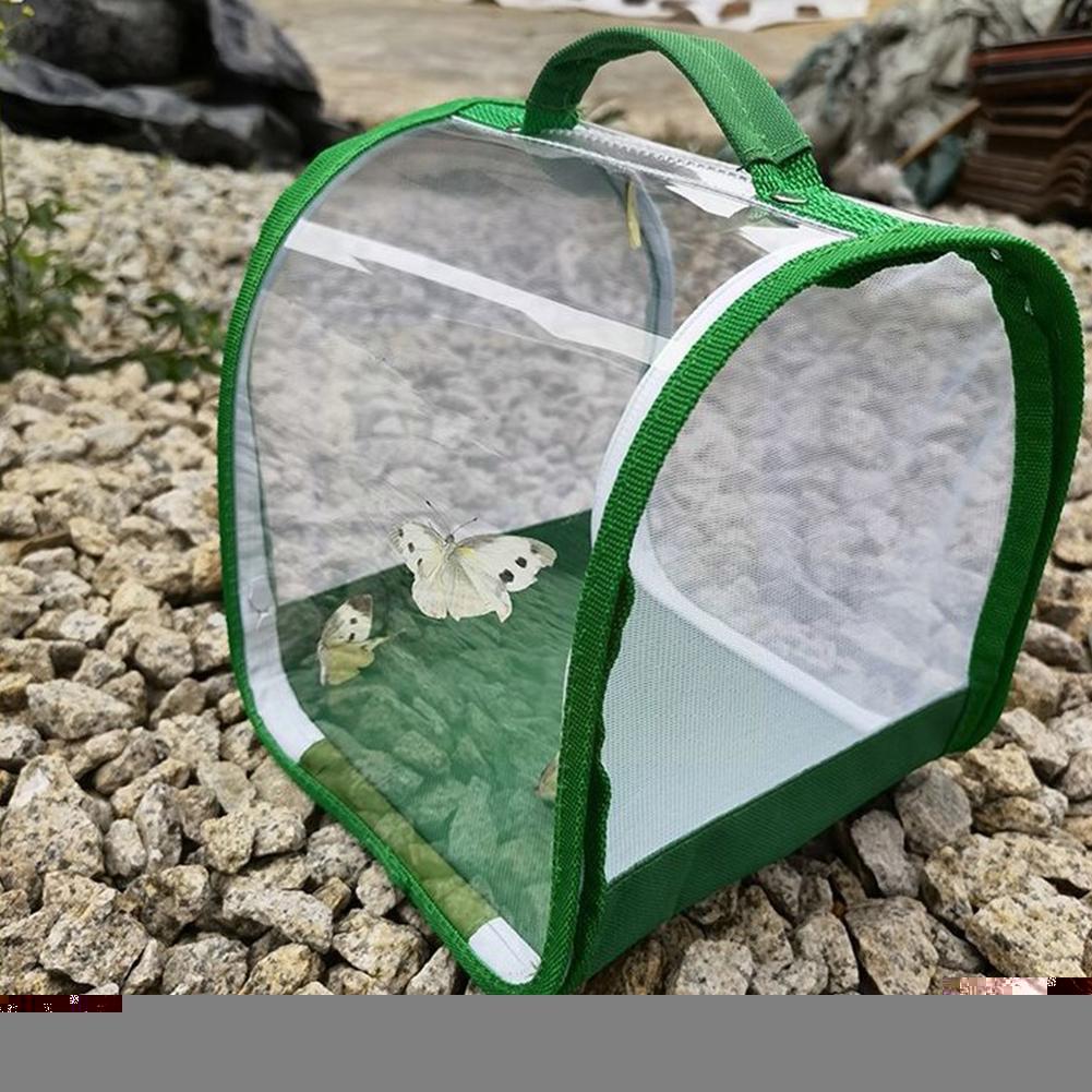 Transparent Wear-resistant Pvc Portable Folding Insect Cage Cage Cage Insect Breeding Animal Cage Small Y9e5