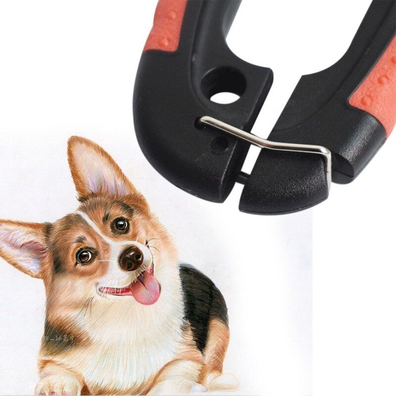 chien coupe-ongles coupe acier inoxydable toilettage ciseaux tondeuses pour animaux chats haut