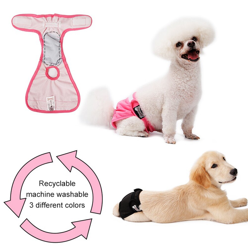 Couche-culotte lavable pour chien, XS-XL animaux domestiques, pantalon physiologique, culotte, Menstruation