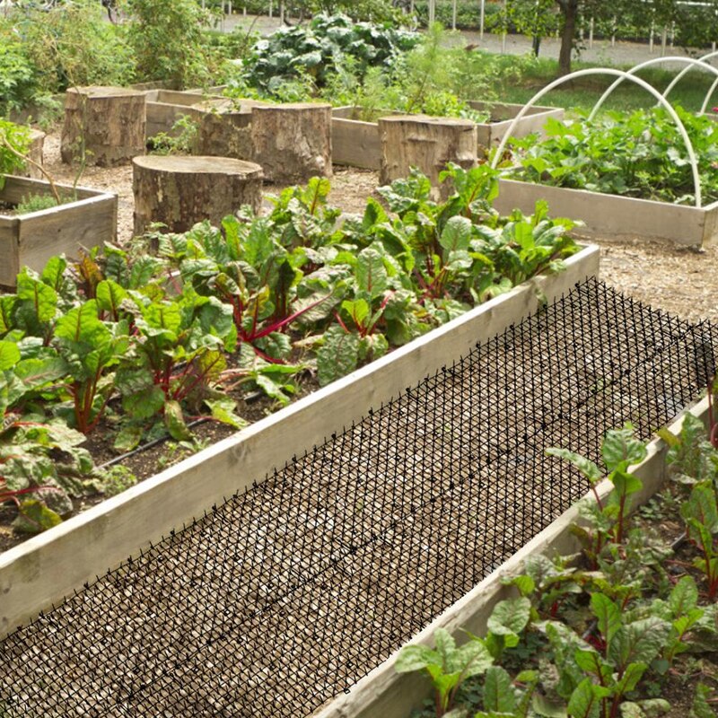 Rete anti-gatto da giardino in plastica prevenire la stuoia della spina del gatto rete protettiva multifunzionale della rete di protezione delle piante dell'orto
