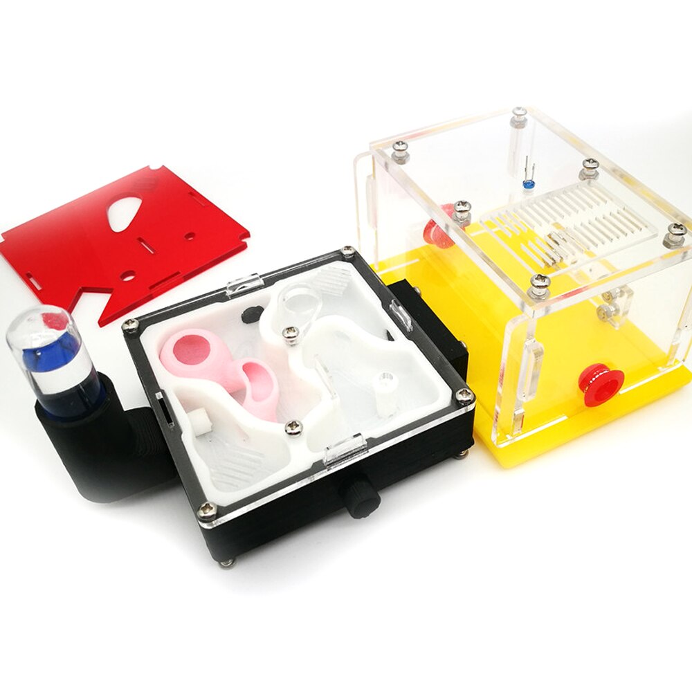 Ant Nest DIY Moisture Feeding Area Acryl Ant Farm Ants House Birthday: X6-C1