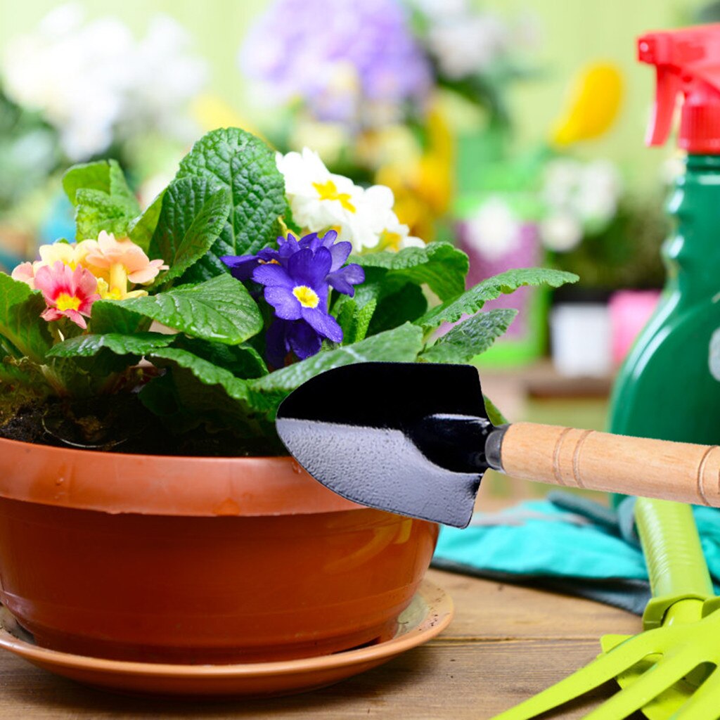 Small Transplant Hand Tool For Multi-Functional Indoor Gardening Plant Care Gardening supplies and plant tools set