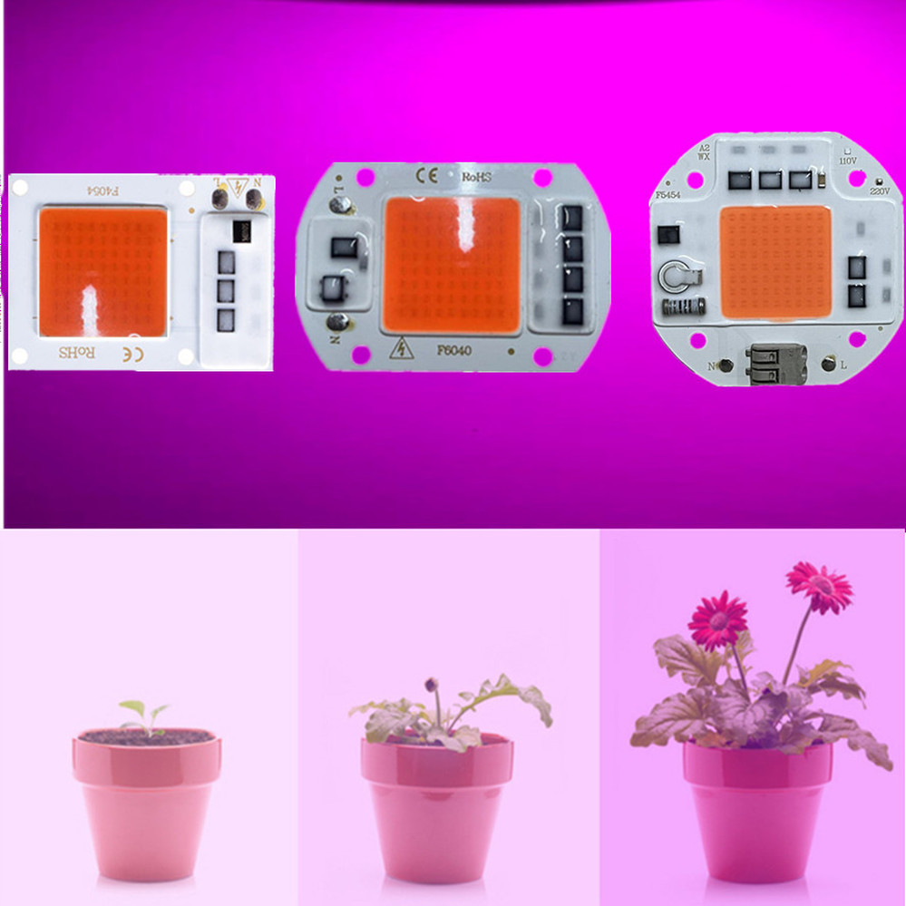 Chip de luz LED COB de espectro completo AC 220V 10W 20W 30W 50W-100W sin necesidad de controlador para el crecimiento de plántulas de flores iluminación de plantas