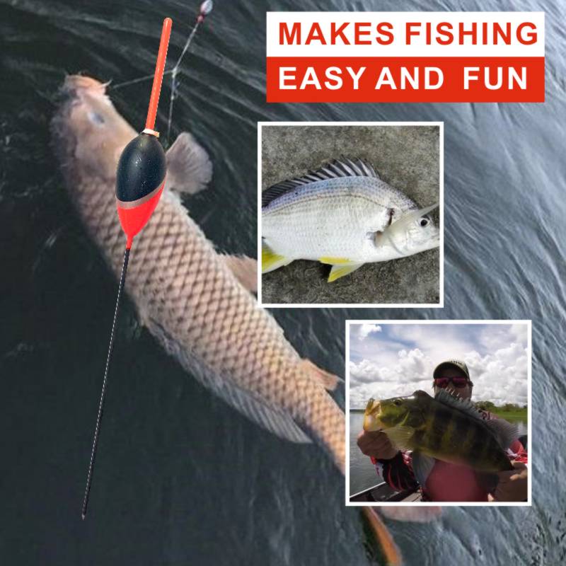 ORJD-flotador de Pesca, 10 piezas, 19cm, 2,5g, boya Vertical, señuelo de Pesca con mosca marina, flotador, accesorios de Pesca en Río