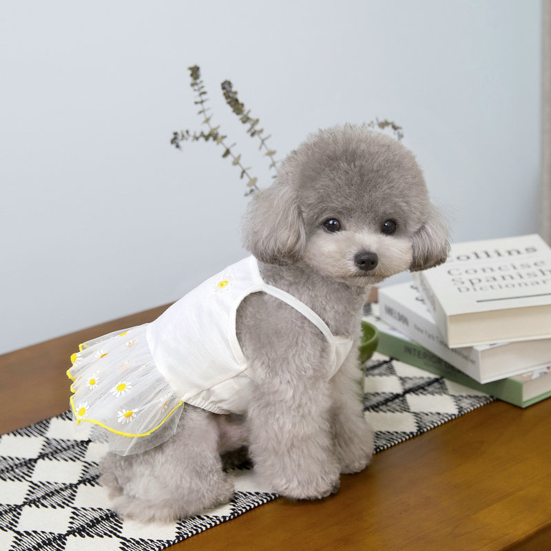 Lindo vestido para perros pequeños, falda fina de princesa para cachorros, ropa de verano para perros, ropa para Chihuahua York, suministros para mascotas