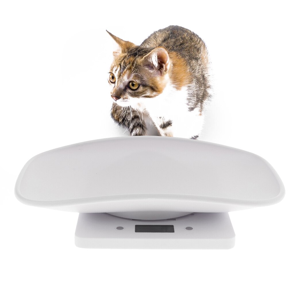 1PC Practical Durable Multi-function Handheld Portable Weight Measure Tool Small Pet Scale for Dog Cat Baby Pet