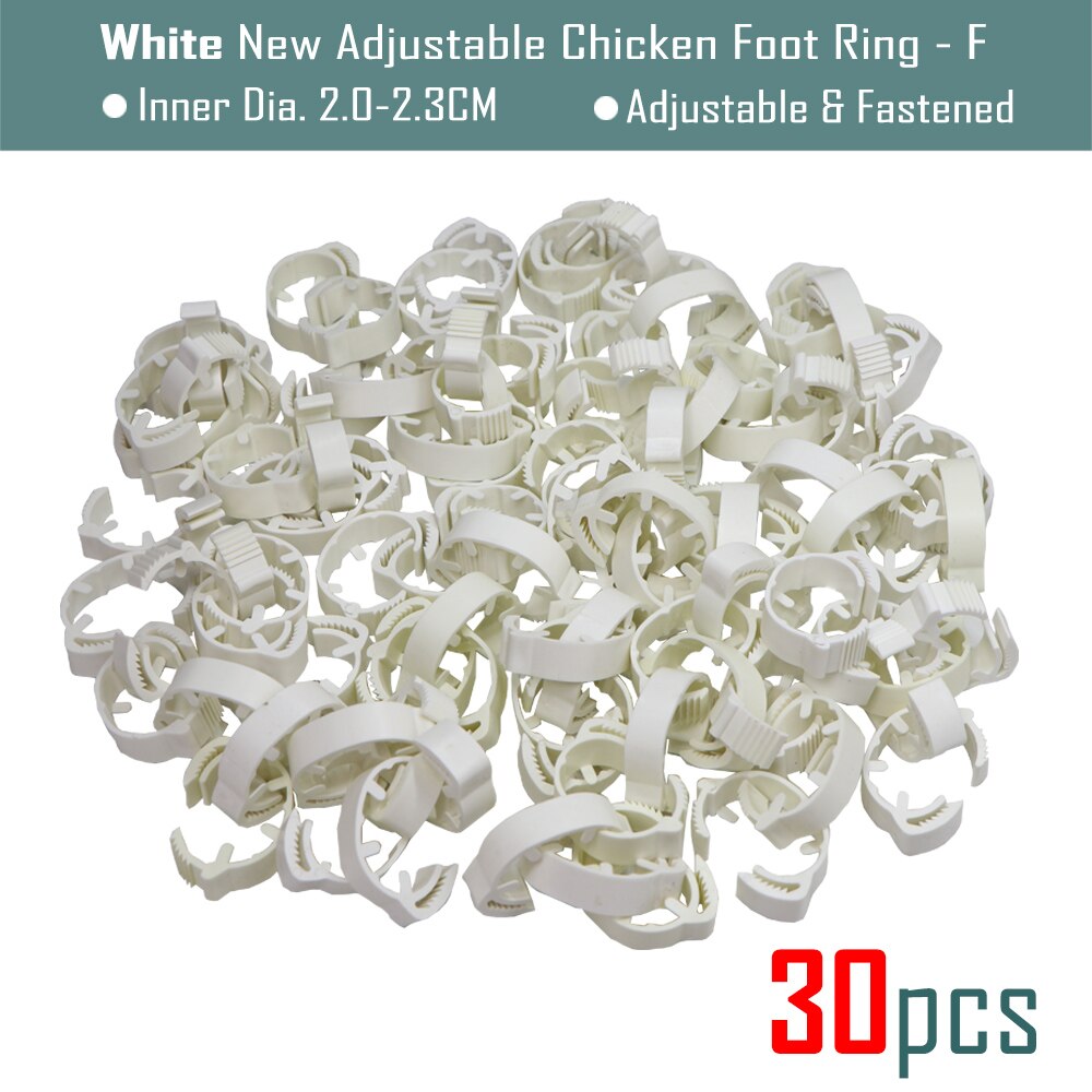 30Pcs Blank Kip Voet Ring 7 Kleuren Verstelbare Digitale Etiketten Voor Pluimvee Been Farm Identificatie Markers Tool Voor Chick eend: F-Whitex30pcs