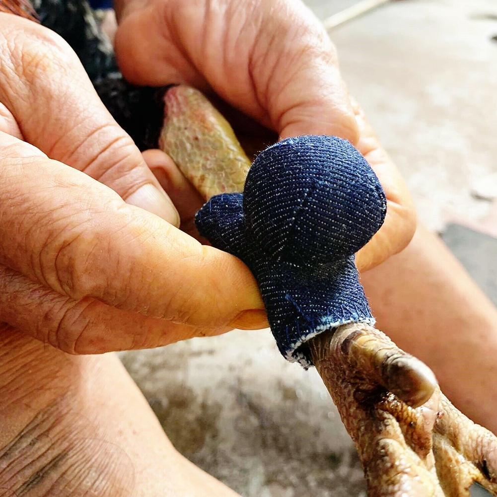 Gants en cuir pour coq, 4 paires, pour combat en toute sécurité pour la lutte, coq rouge, coq, coq, coq B6k9