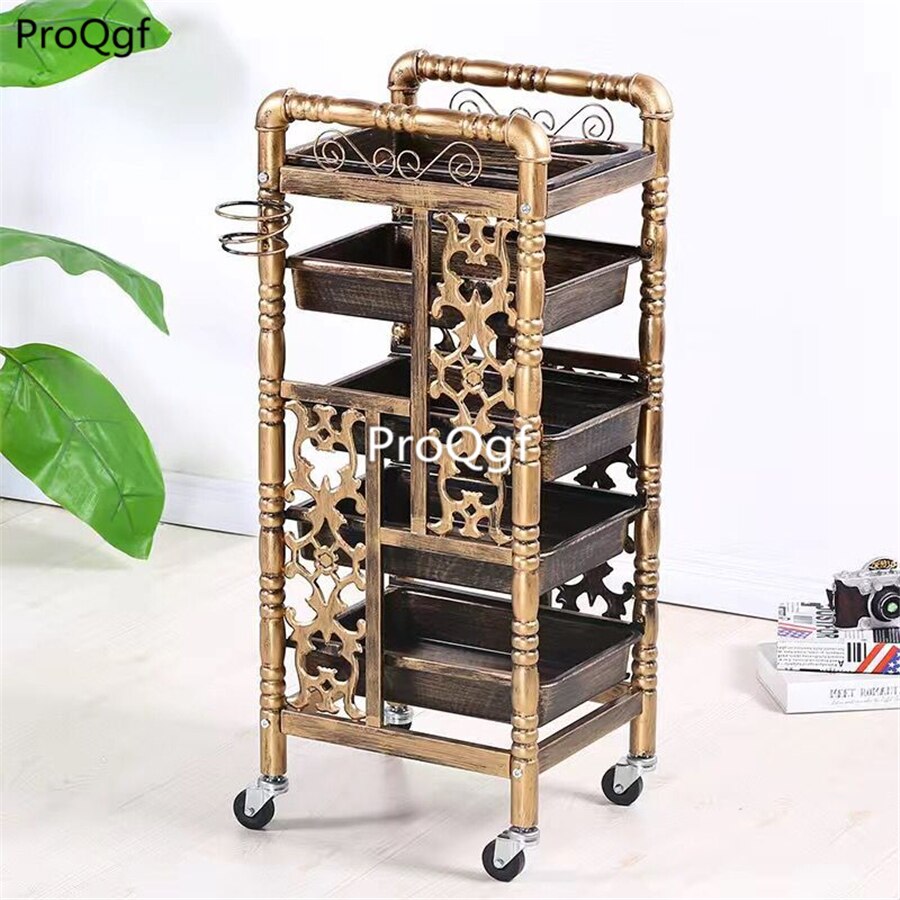 Prodgf 1 Stuks Een Set Verwijderbare Kapsalon Trolley: 5