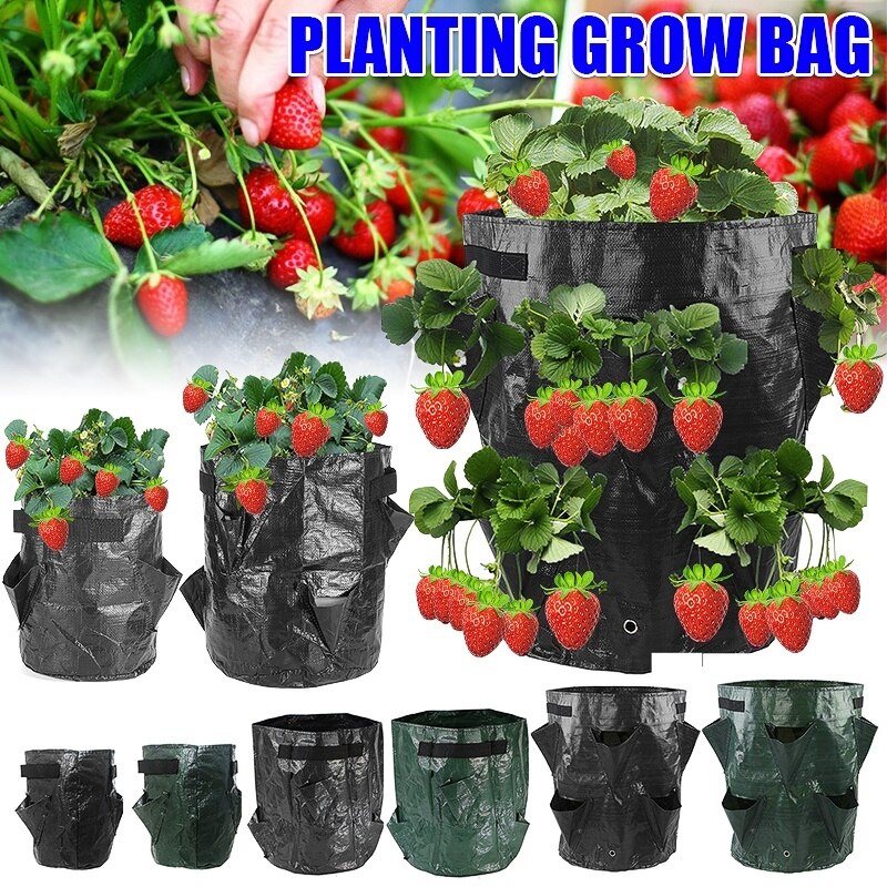 3Pcs Hanging Strawberry Plant Grow Bag 5/7/10 Gallon Garden Flower Vegetable Planting Pots