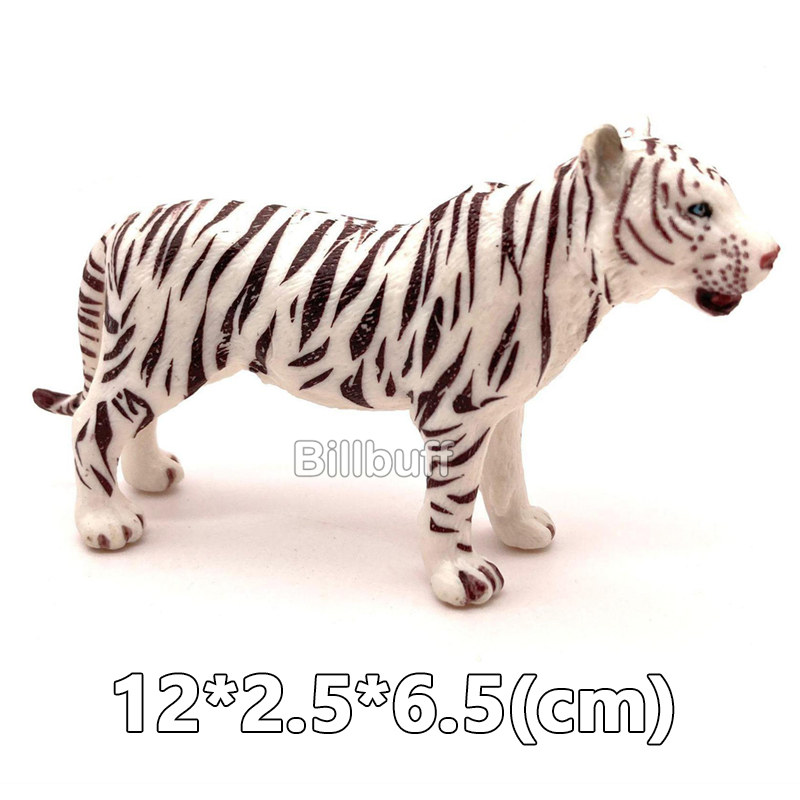 Simulation Wilden Ebene Weiß Tiger Tigerin Männlichen Tiger Modell Aktion-figuren Figuren Sammlung FrüHenne Bildung Spielzeug für freundlicher: Tiger Zahlen f