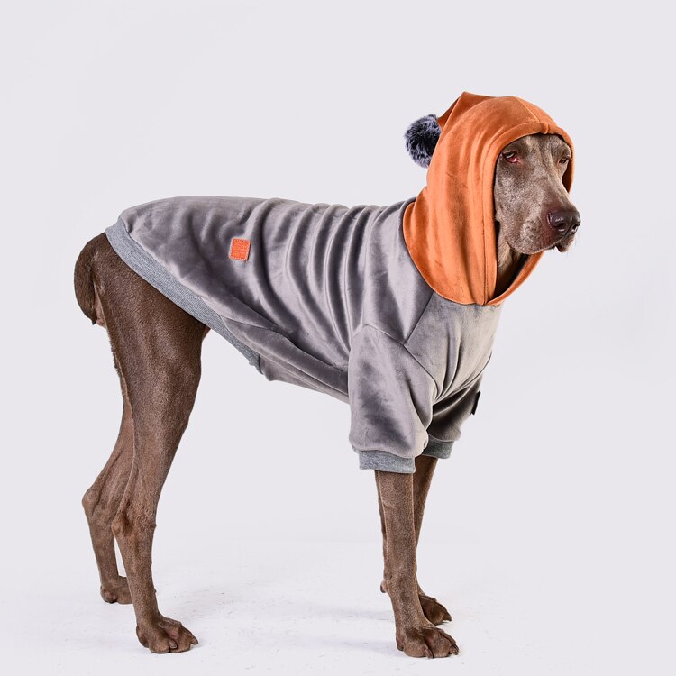 Pull en velours pour chien Golden Retriever, Labrador, bouledogue, vêtements pour grands chiens, accessoires pour chiens, automne et hiver