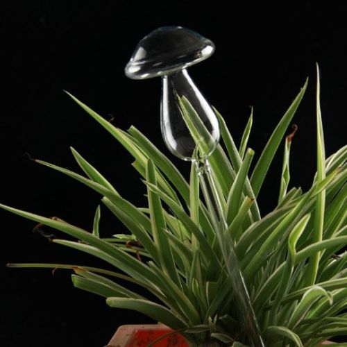 Alimentador automático de agua para plantas y flores, dispositivos de autorriego, alimentador de agua de vidrio transparente, forma de pájaro, 6 formas