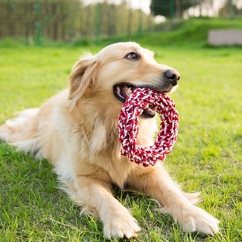 Bite Resistant Big Dog Chew Toys for Large Dogs Interactive Goldern Retriever Play Game Rope Knot Toy Pet Shop Dog Accessories