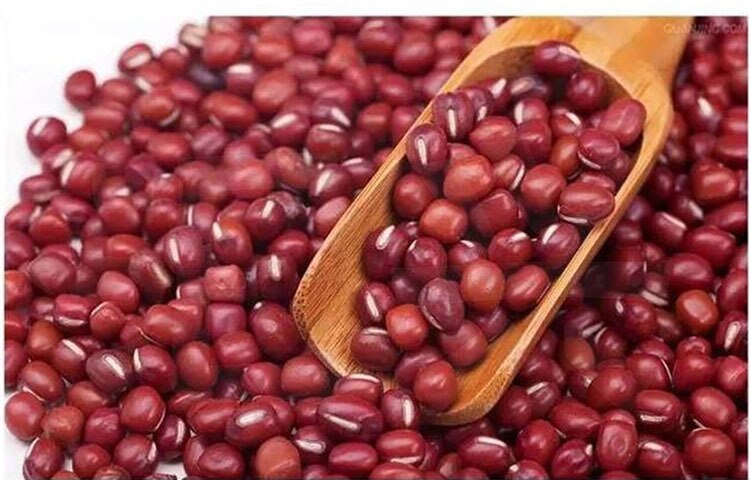 Mini boules café thé en bois 6 pièces | Mini bain de bonbons sel épices saveurs cuillères